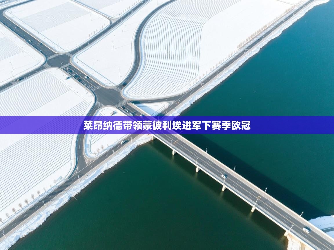 莱昂纳德带领蒙彼利埃进军下赛季欧冠 第2张