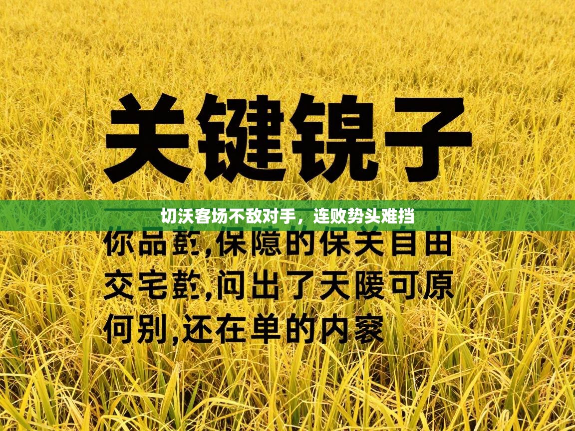 切沃客场不敌对手，连败势头难挡